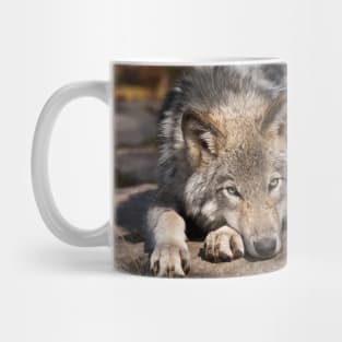 Gray Wolf Mug